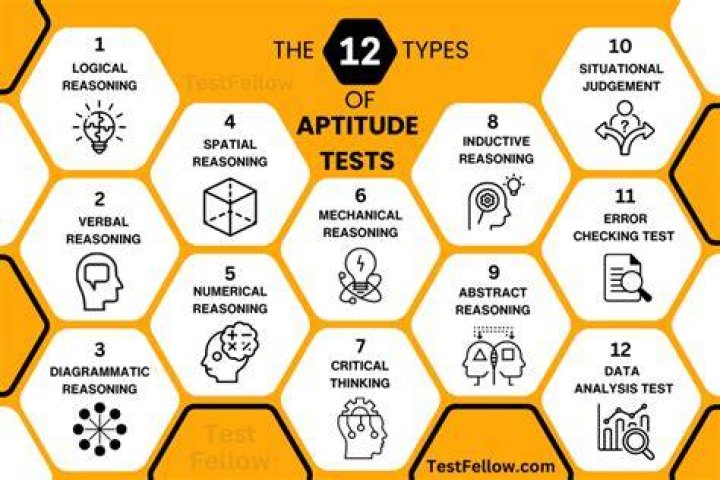 Are aptitude tests worth it?