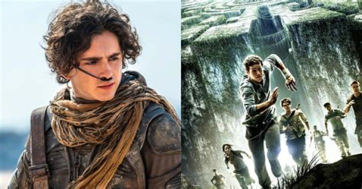 Are divergent and maze runner connected?