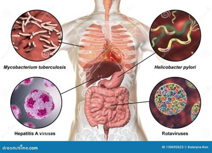 Are enteric bacteria human pathogens?