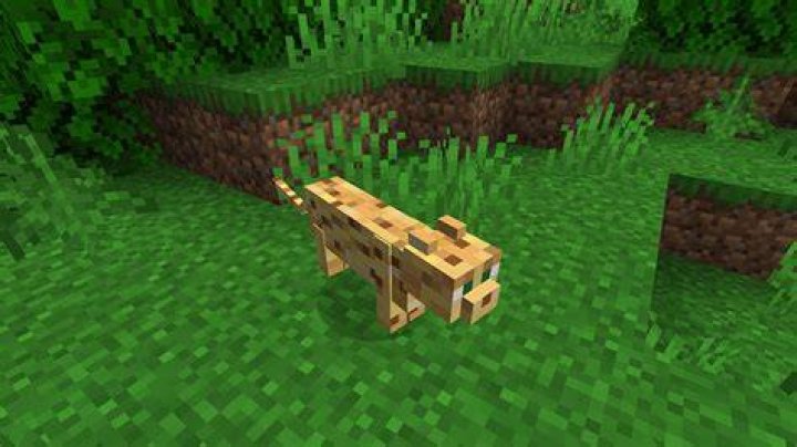 Are ocelots still in minecraft?