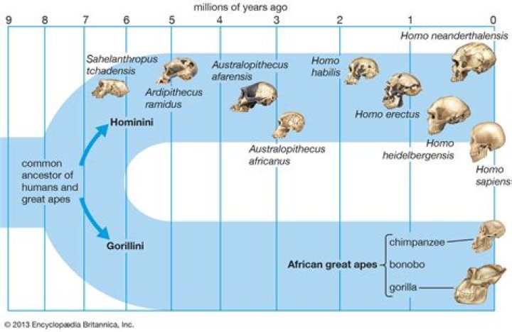 At does ancestor mean?