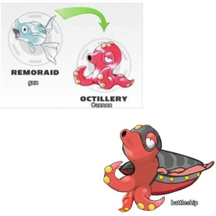 At which level remoraid evolve?