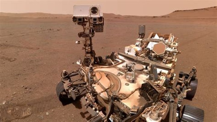 Can curiosity meet perseverance?