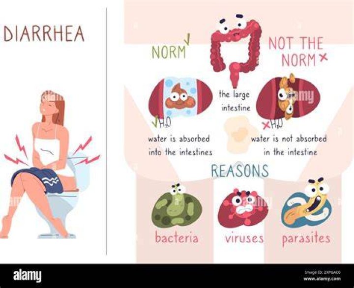 Can garcinia cause diarrhea?
