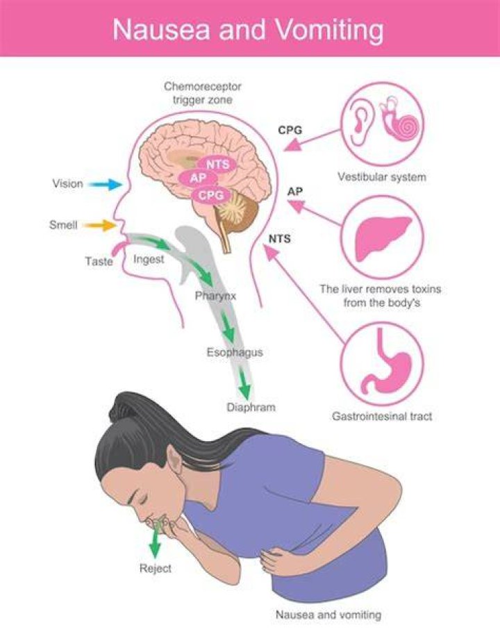 Can mirtazapine cause nausea?