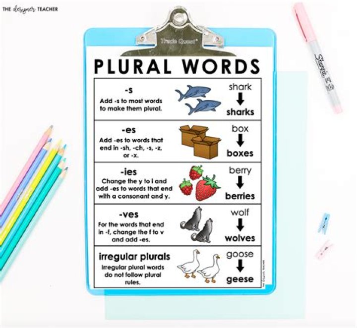 Can syllogism be plural?