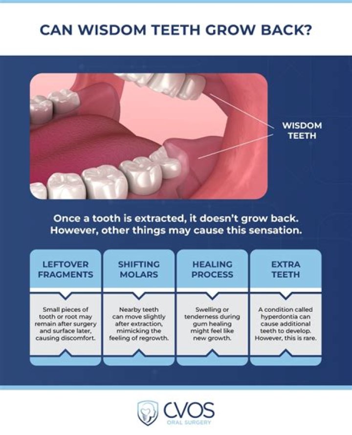 Can wisdom teeth grow back?
