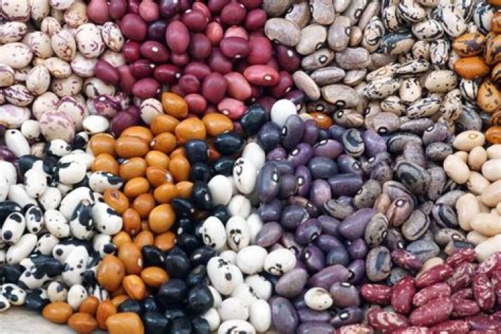 Can you steam dried beans?