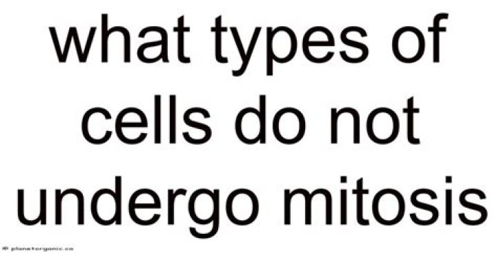 Did not undergo mitosis?