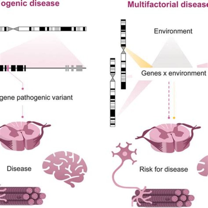 Do all diseases have multifactorial inheritance?