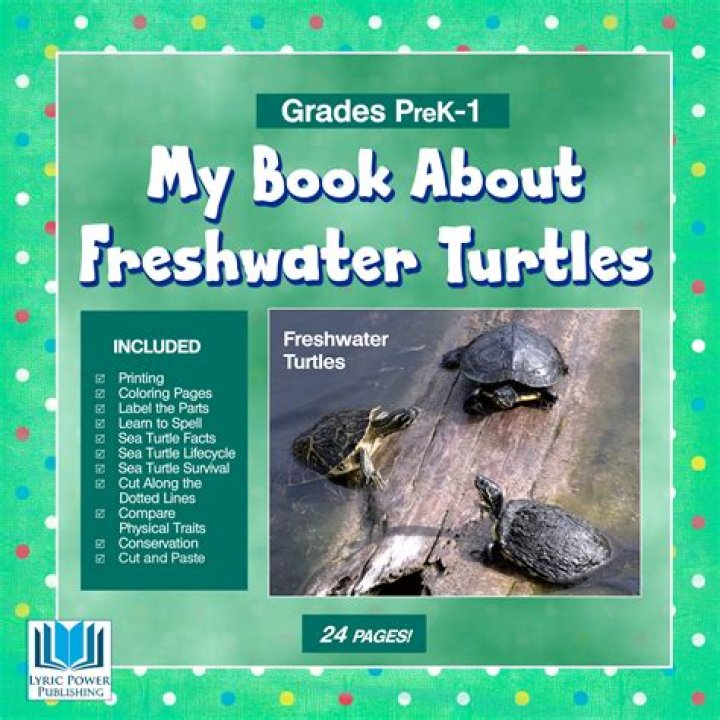 Do all turtles have hard shells?