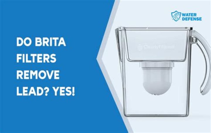 Do brita filters remove lead?