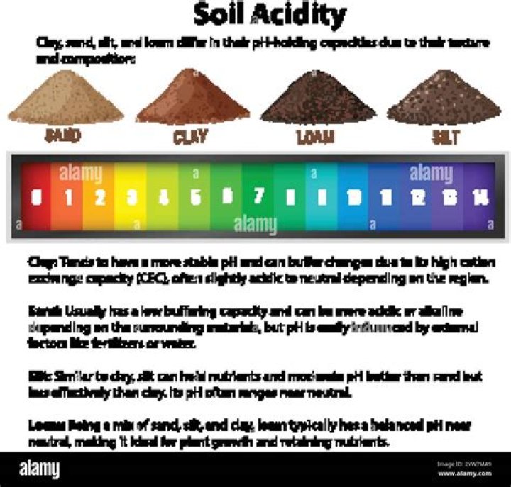 Do buxus like acid soil?
