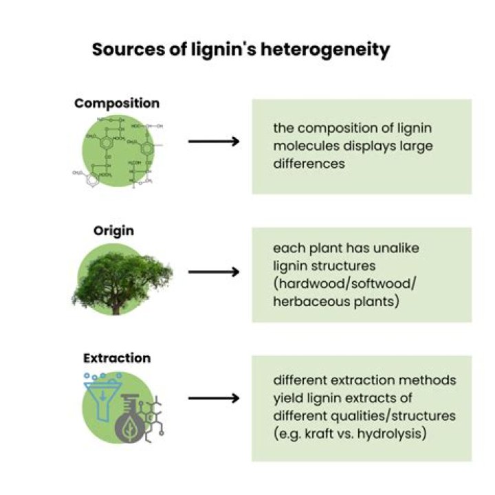 Do charophytes have lignin?