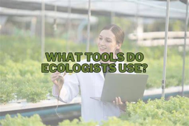 Do ecologists use modeling?