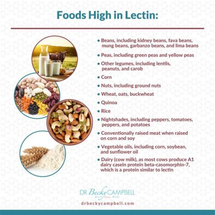 Do green beans have lectins?