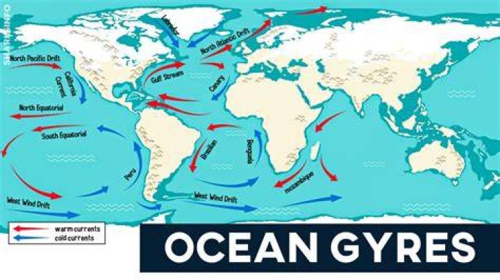 Do gyres redistribute nutrients?