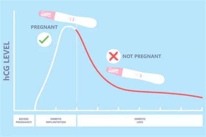 Do hcg levels drop before miscarriage?
