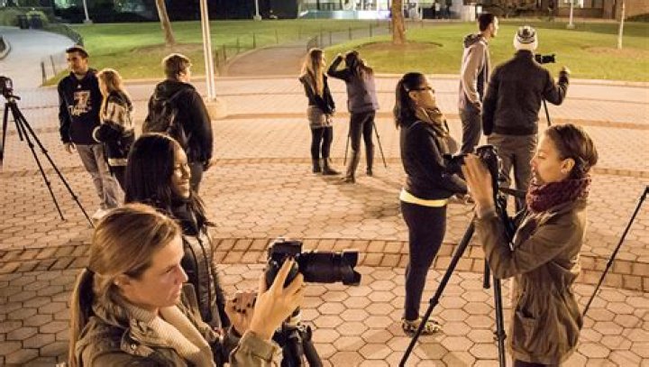 Do photojournalists use cameras?