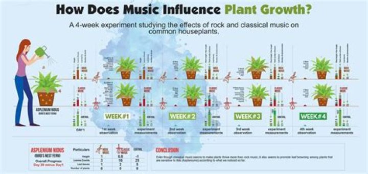 Do plants react to music?