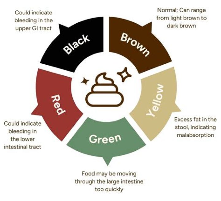 Do poop is green?