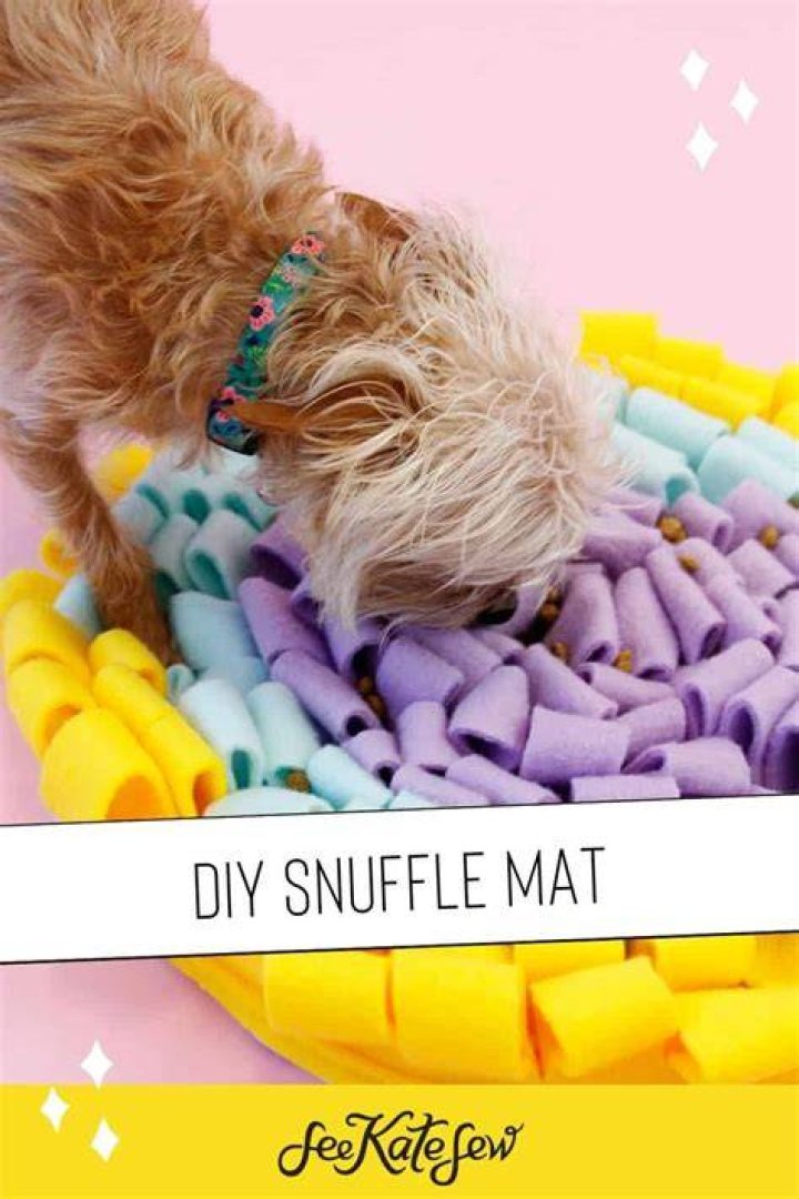 Do snuffle mats work for cats?