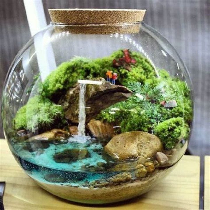 Do terrariums need water?