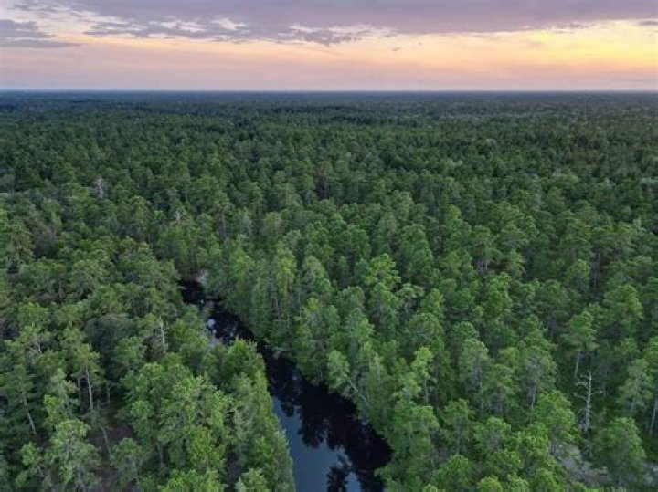 Does anyone live in the pine barrens?