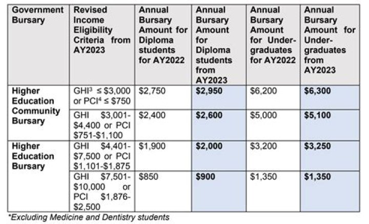 Does bursary count as income?