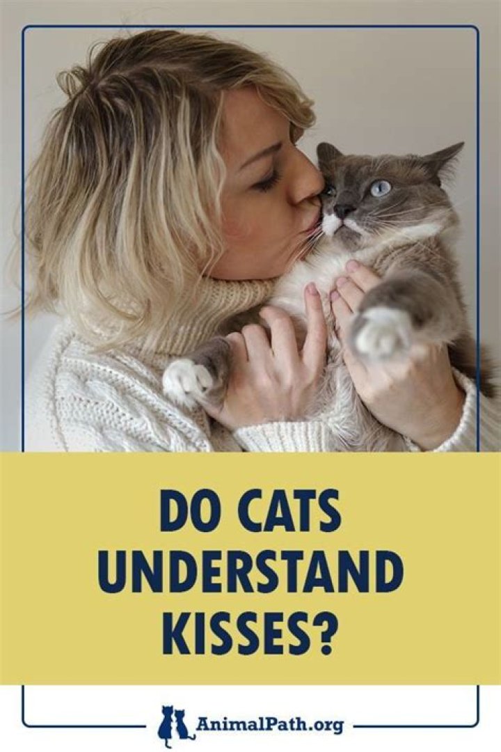 Does cats like kisses?