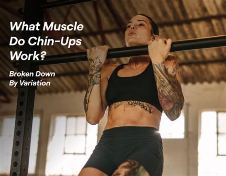 Does chin ups work lats?