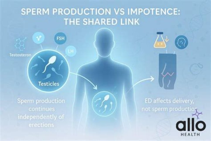 Does impotence affect fertility?