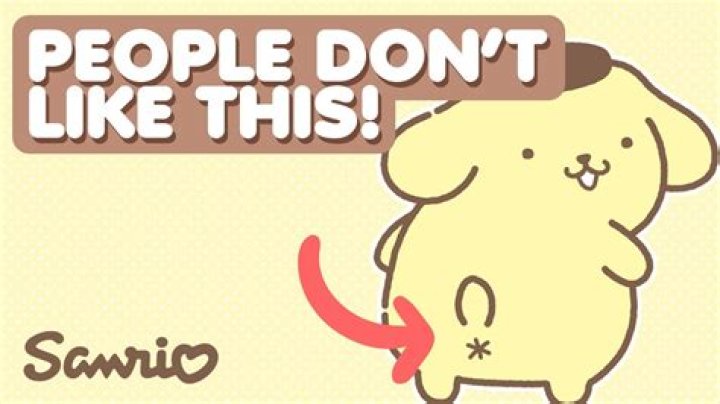 Does pom pom have a plural?