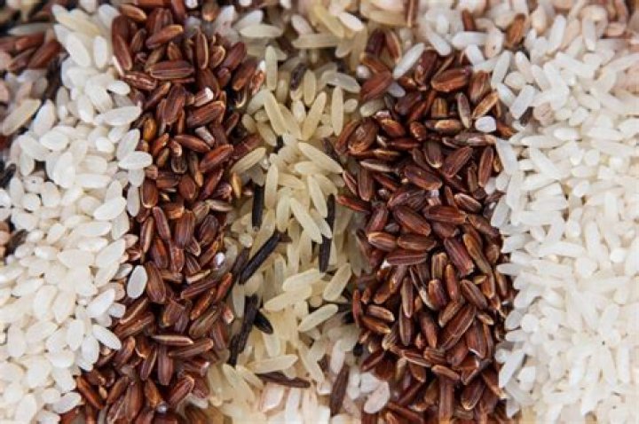 Does rice have lectins?