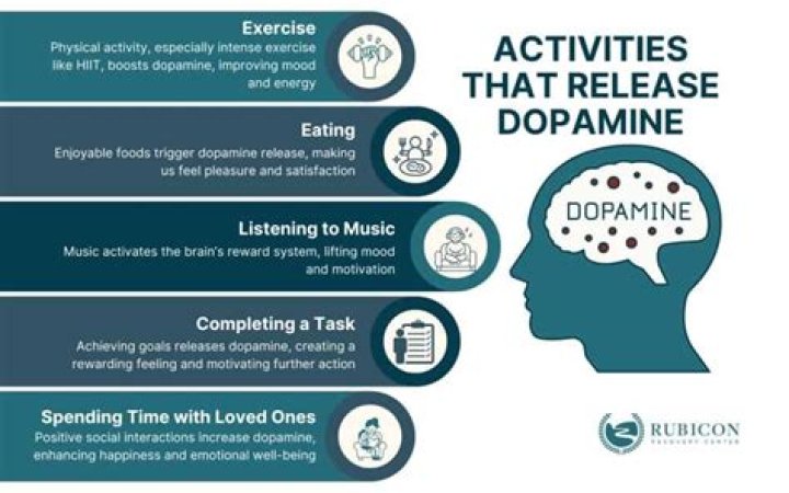 Does social interaction release dopamine?