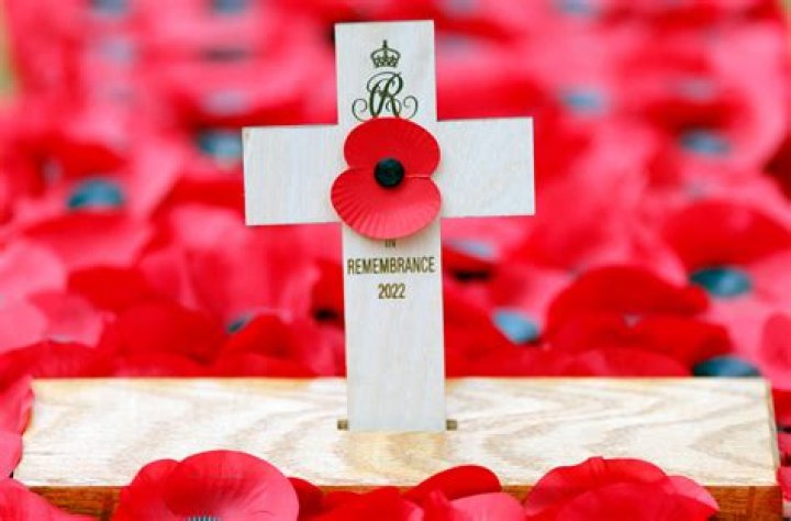 Does the u s celebrate remembrance day?
