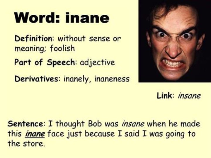 Does the word inane mean?