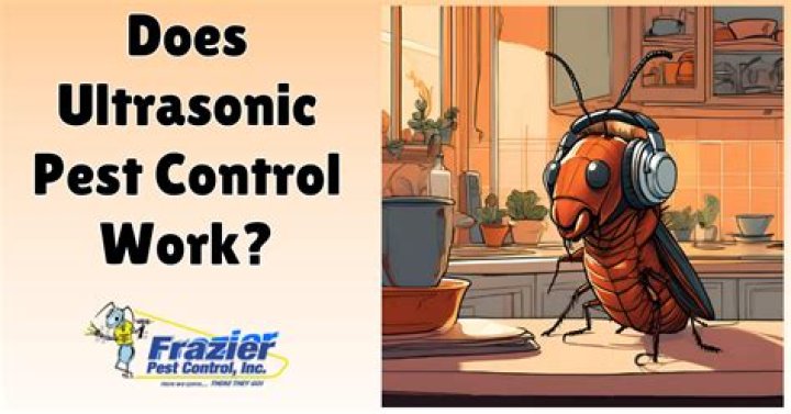 Does ultrasonic pest control work?
