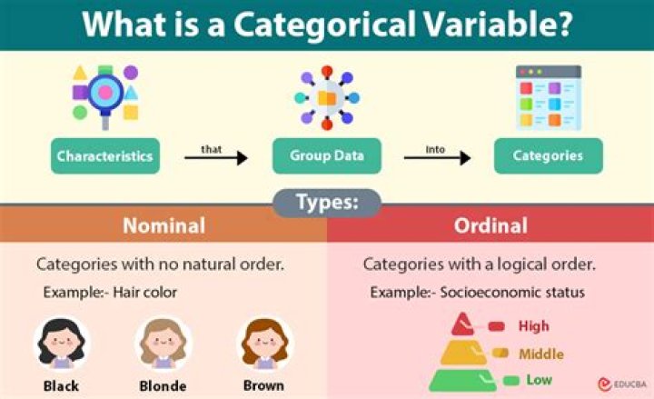Does vif work for categorical variables?
