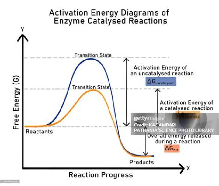 For the catalyzed reaction?