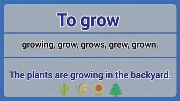 Has grown or grew?