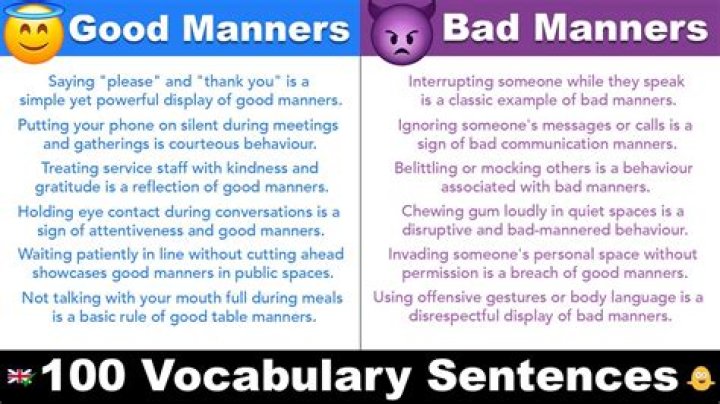 Has no manners definition?