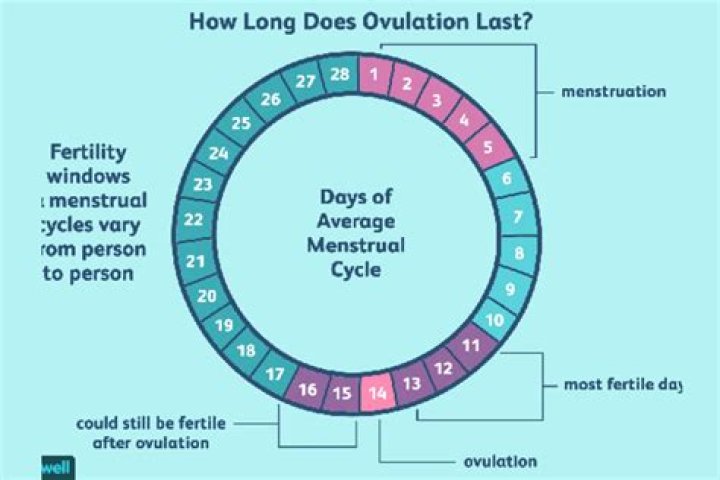 Has the weekly cycle ever changed?