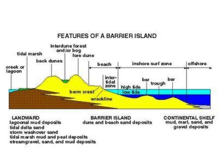 How barrier beaches are formed?