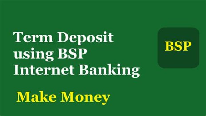 How bsp make money?