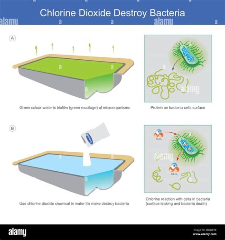 How chlorine kills bacteria?