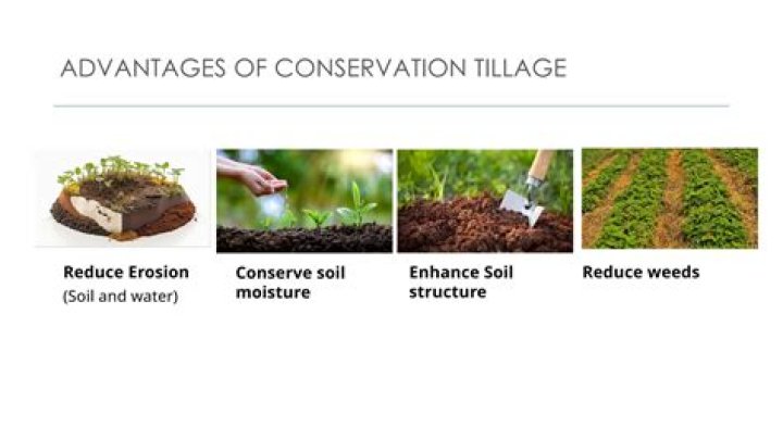 How do conservation tillage practices lead?