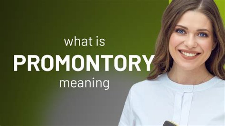 How does promontory make money?