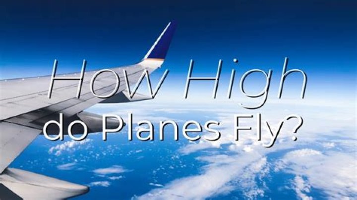 How high can leaf wings fly?