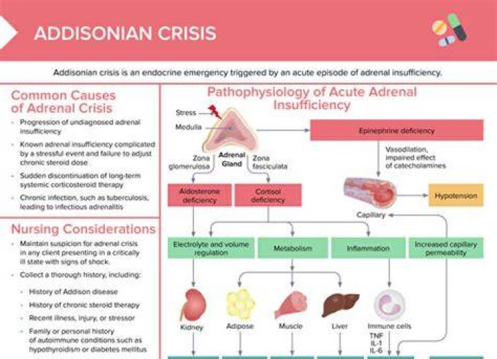 How long does addisonian crisis last?